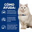 Hill's Prescription Diet c/d Cuidado Urinario Estrés Estofado de Atún lata para gatos, , large indicador imagen numero 3